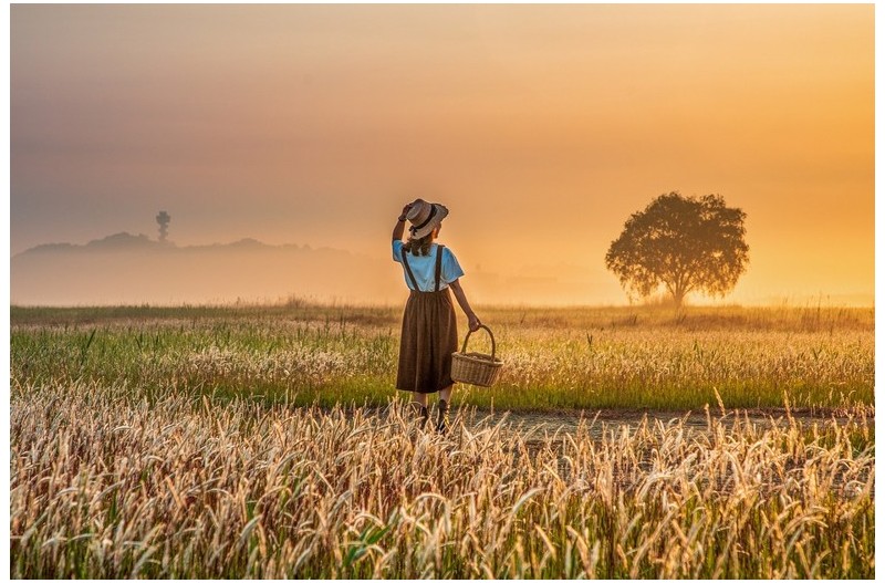 외로운 수섬에서