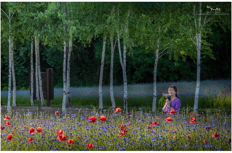 오후빛을 찿아 떠난 여행