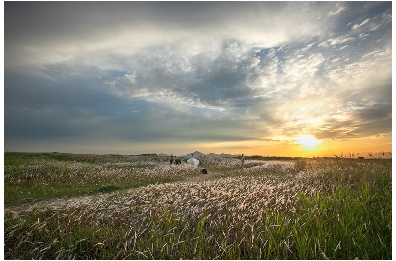 노을 둘드는 다대포