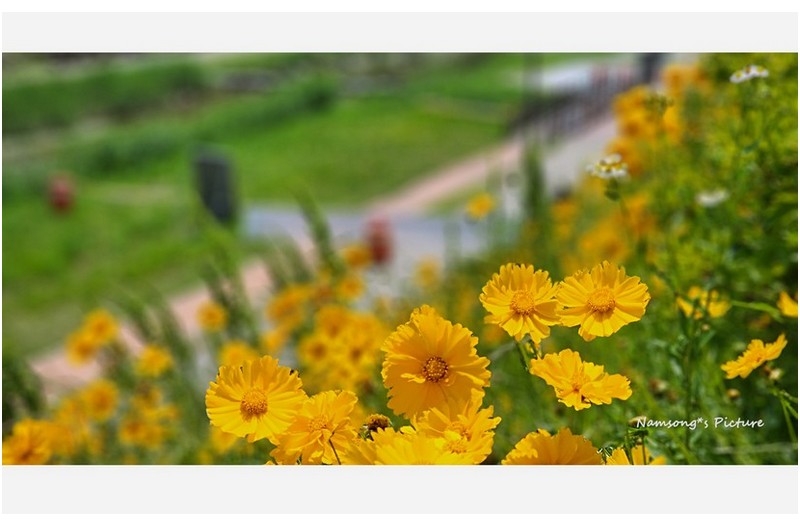 봄이 물러가는 길목에서 ----