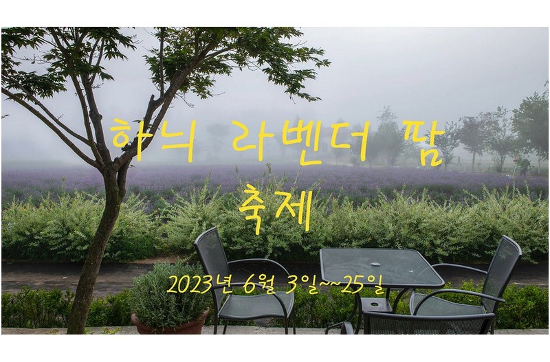 하늬 라벤더팜 축제