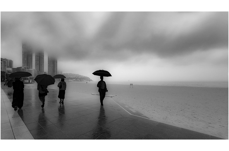 우중산책길에는...