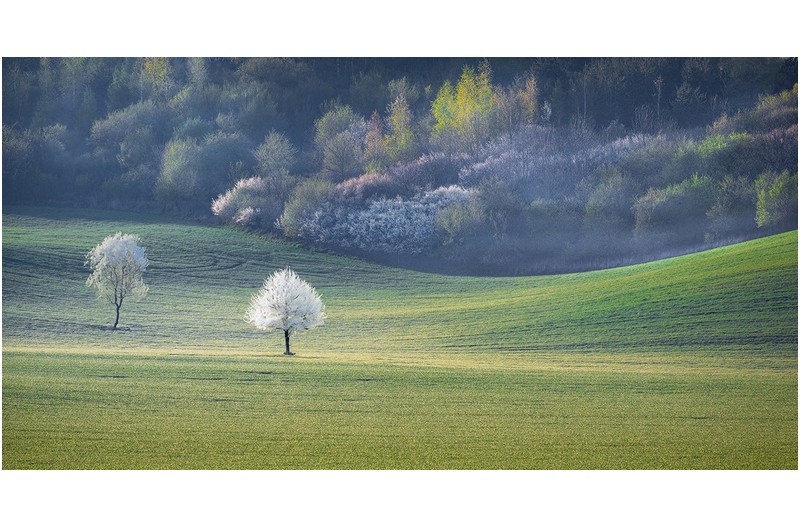 초원이 주는 행복