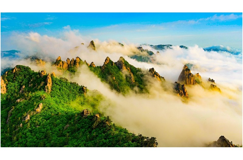 신록의 공룡능선