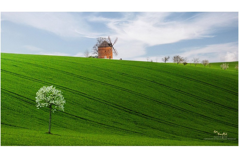 초원에서 부르는 노래