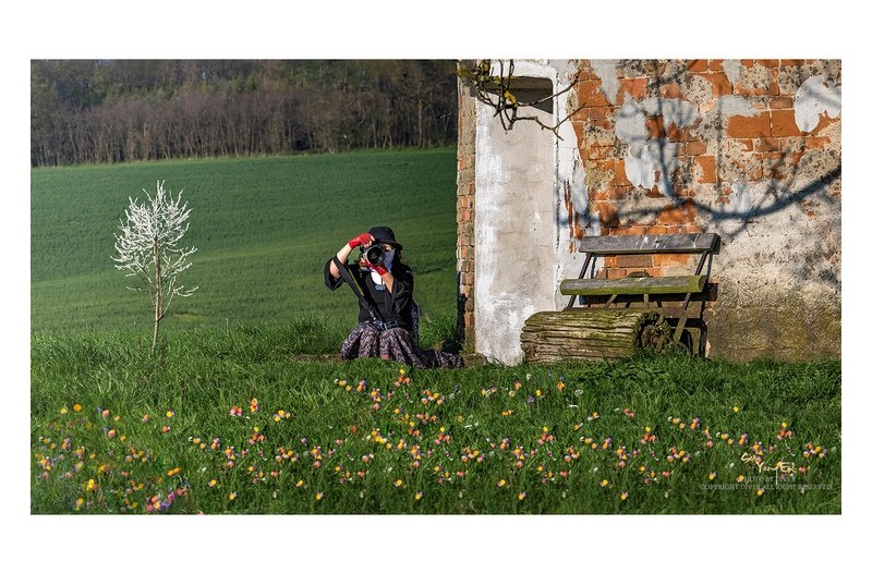 초원을 만끽하는