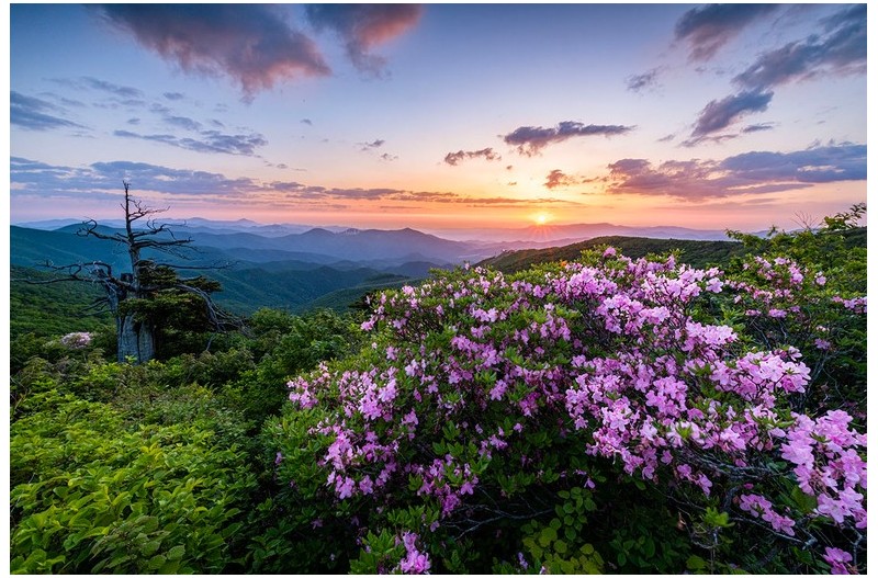 함백산 국민포인트에서