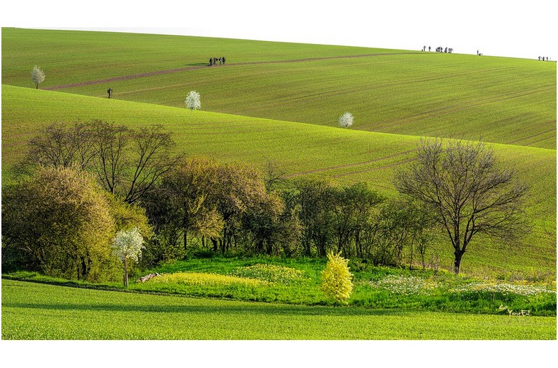 아름다운 그림을 찿는 사람들