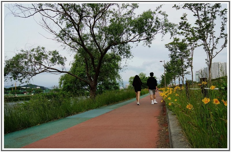 남대천 산책 길