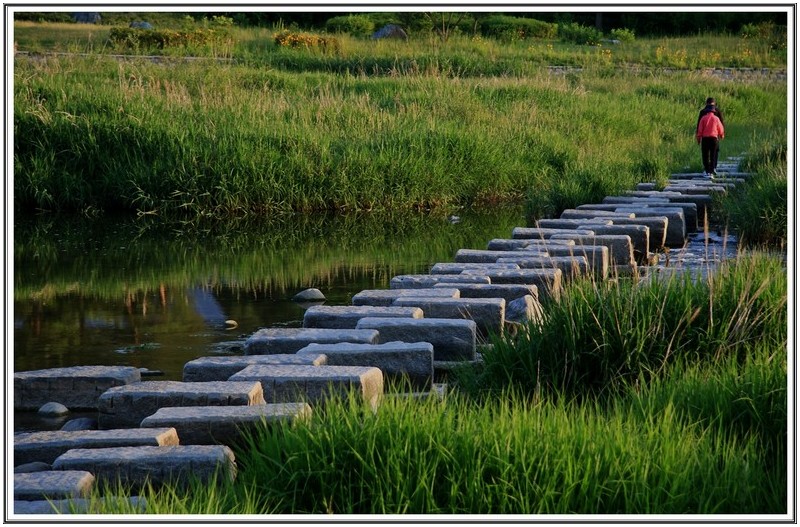 남대천 징검 다리