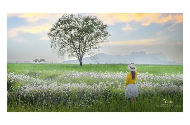 어제밤 꿈속에서