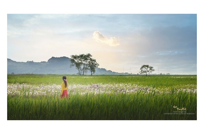 꿈속의 미련 때문에