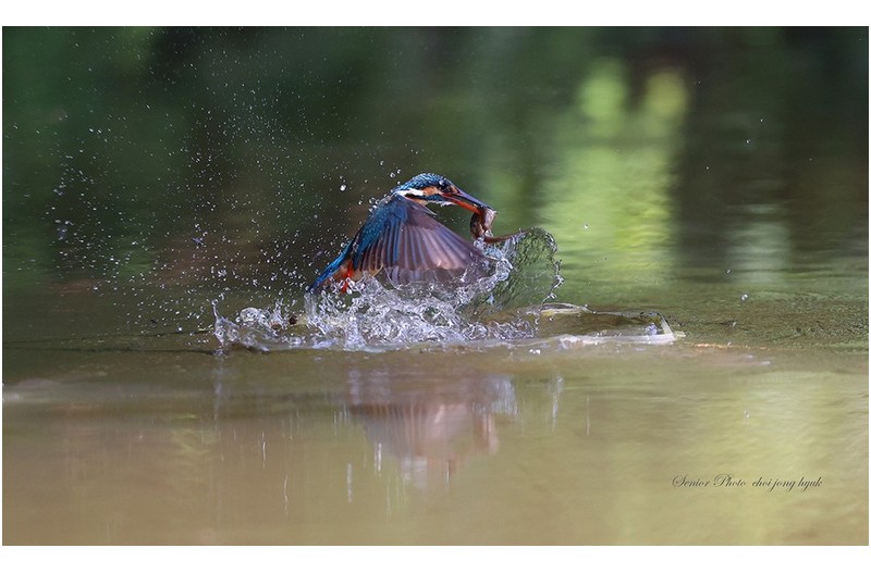 오랜만에 오셨습니다  ㅡㅡㅡㅡㅡㅡㅡㅡㅡㅡㅡ
