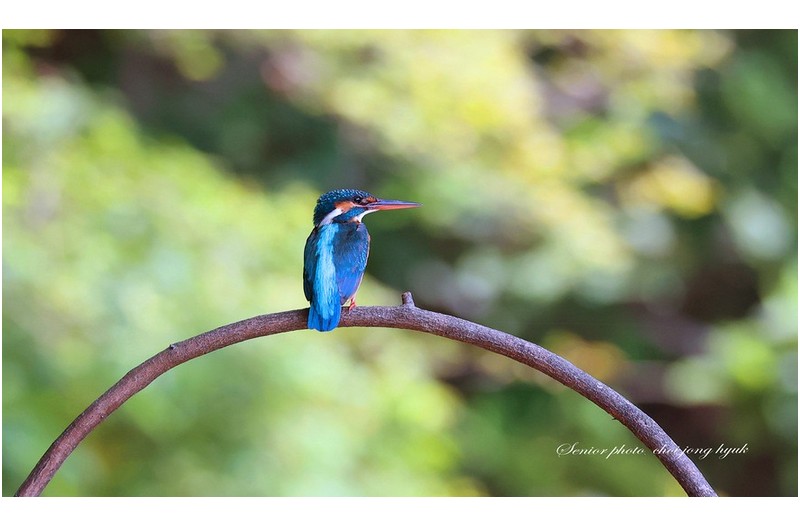 패데기  ㅡㅡㅡㅡㅡㅡㅡㅡㅡㅡㅡㅡㅡㅡㅡ