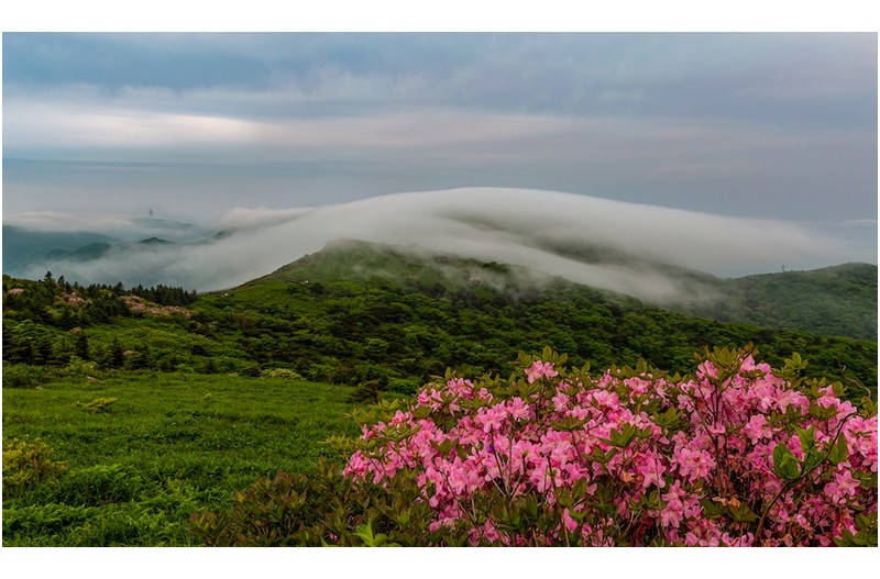 연화봉가는 능선에