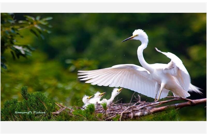 애들아 - 엄마가 왔다 ----