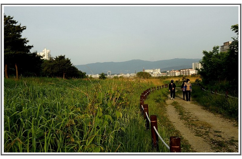 남대천 습지 산책