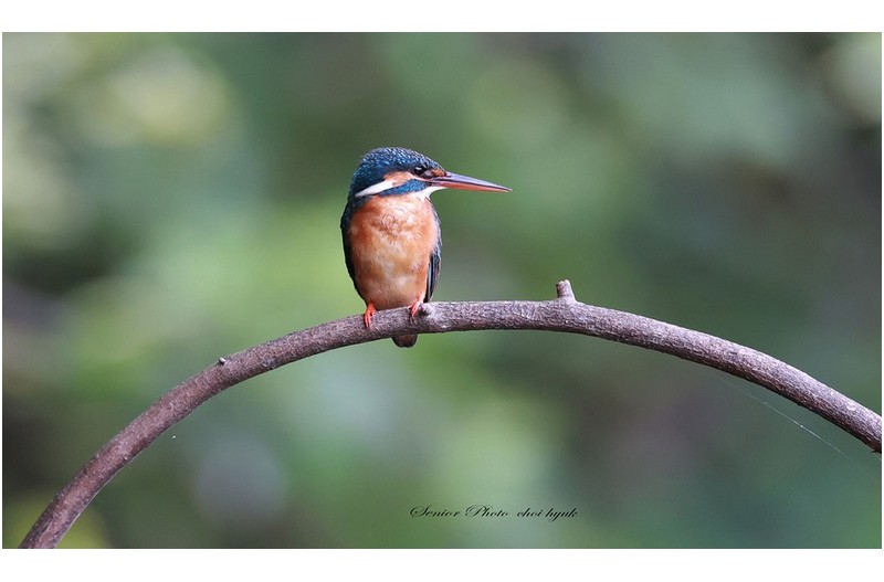 하루종일 총이와  ㅡ ㅡㅡㅡㅡㅡㅡㅡㅡㅡㅡㅡㅡ
