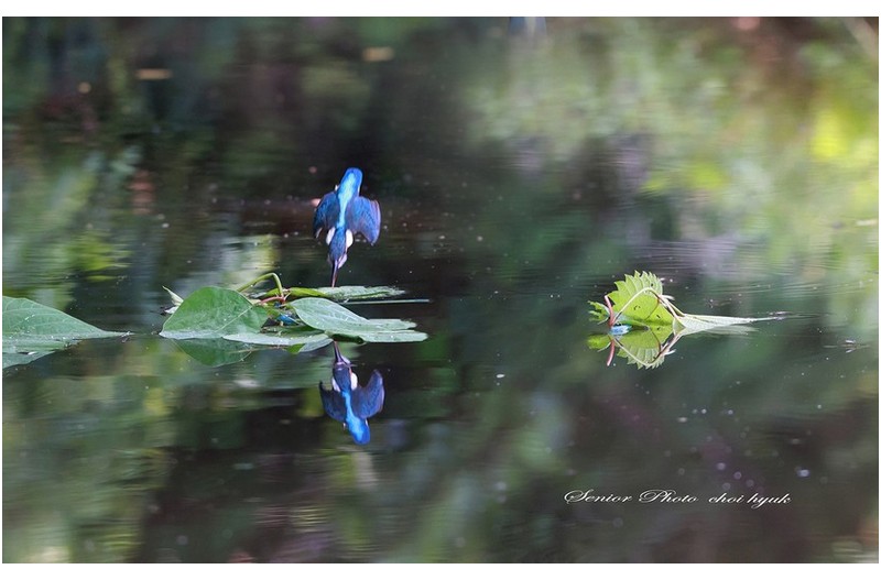 허탕  ㅡㅡㅡㅡㅡㅡㅡㅡㅡㅡㅡㅡㅡ