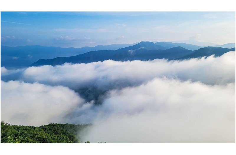 내용 없는 사진