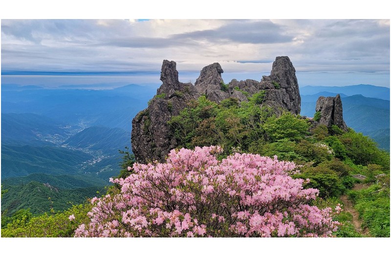 이곳이 제일 명당자리