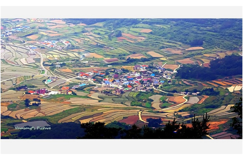 보리가 익어 갈 무렵 -----