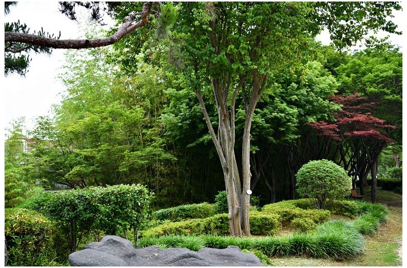 남강변 아침산책