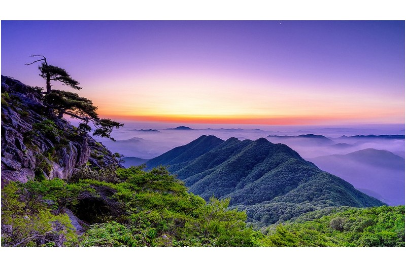 아쉬웠던 생애대 아침