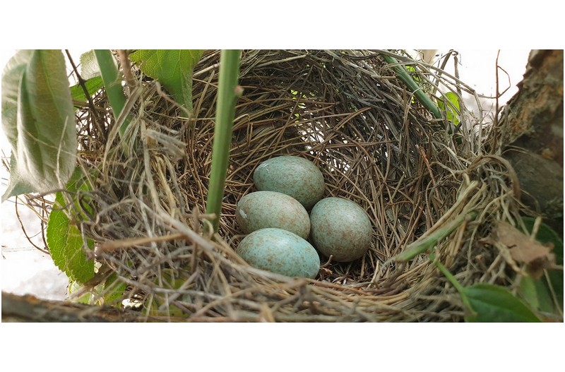 이런x죽일x의x끼