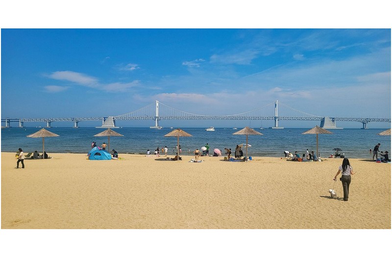 여름 사진 바다에서~