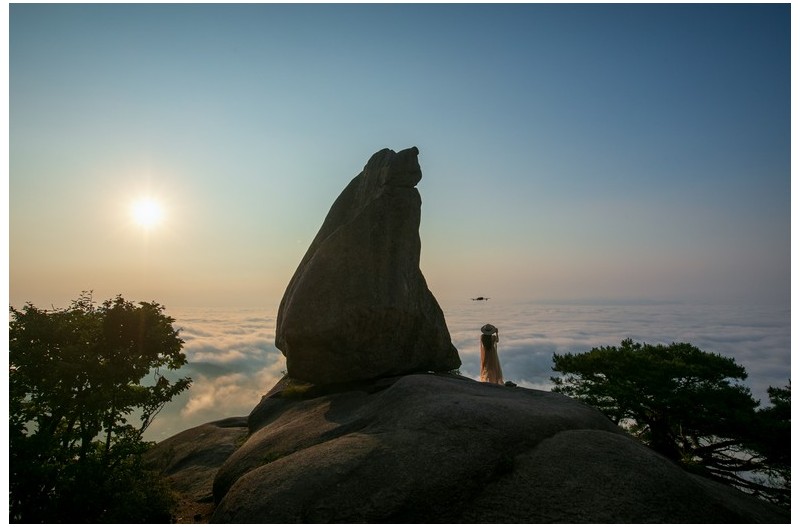 니 꿈을 펼쳐라
