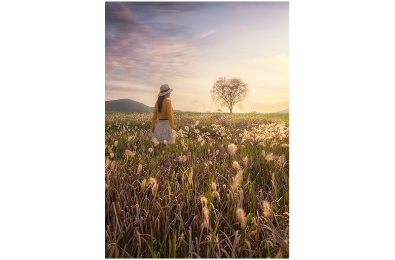 수섬에서의 추억