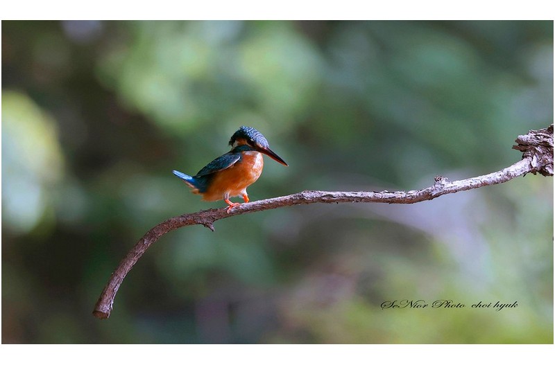 거꾸로 물고 어디가니  ㅡㅡㅡㅡㅡㅡㅡㅡㅡㅡㅡㅡ