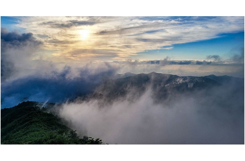 새 카메라 올때까지 핸드폰으로 영상 열심히 담자.