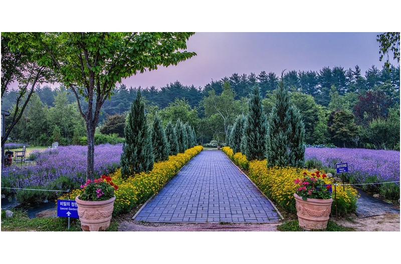 지금요기루 딜려 볼랍니다