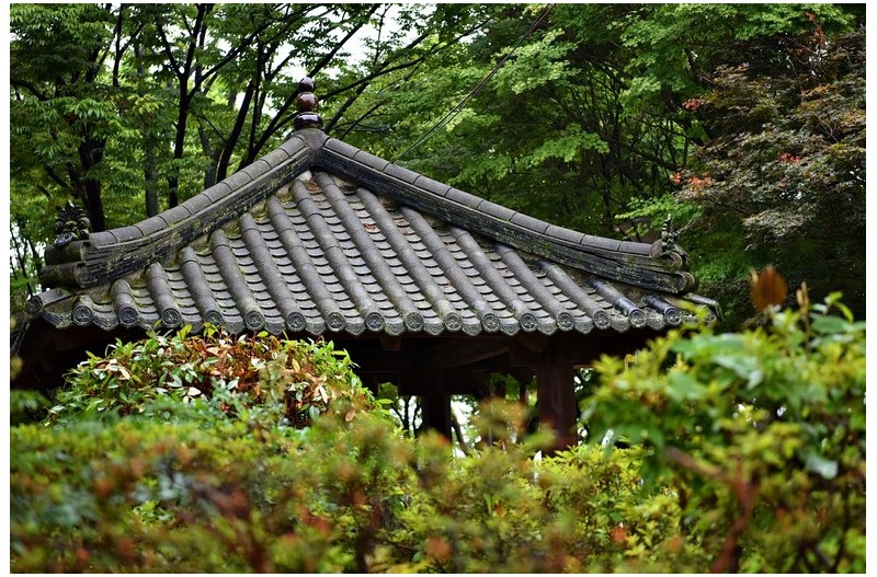 아침산책 남강변