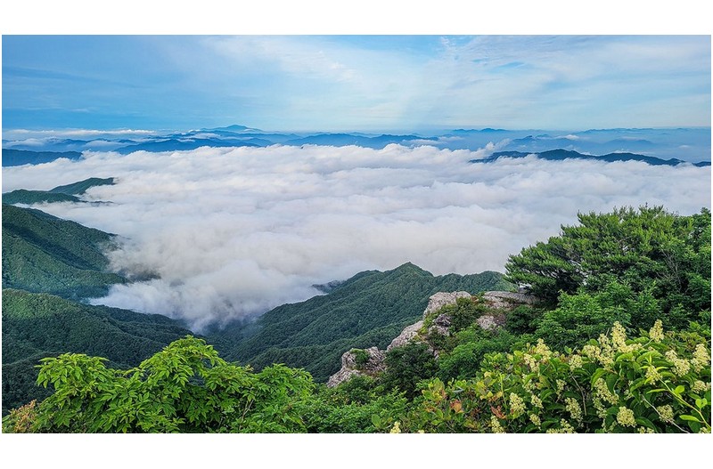 비가 너무 많이 내리네요.
