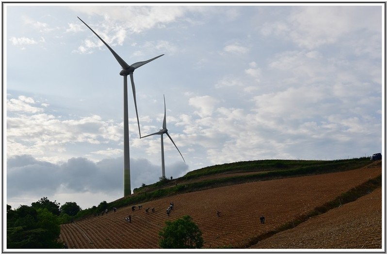 안반 데기 하늘 농장