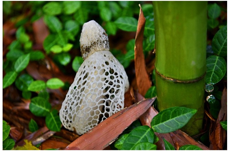 6월을 보내며...