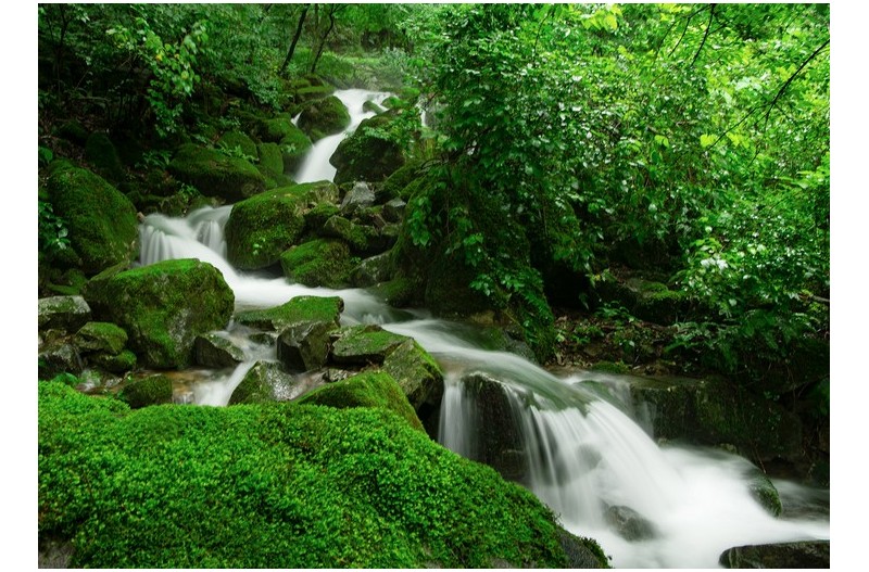 만덕산이끼계곡