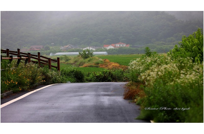 양피지  ㅡㅡㅡㅡㅡㅡㅡㅡㅡㅡㅡㅡㅡㅡㅡㅡㅡㅡㅡㅡ