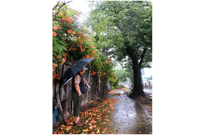 언제벌써  ㅡㅡㅡㅡㅡㅡㅡㅡㅡㅡㅡㅡ