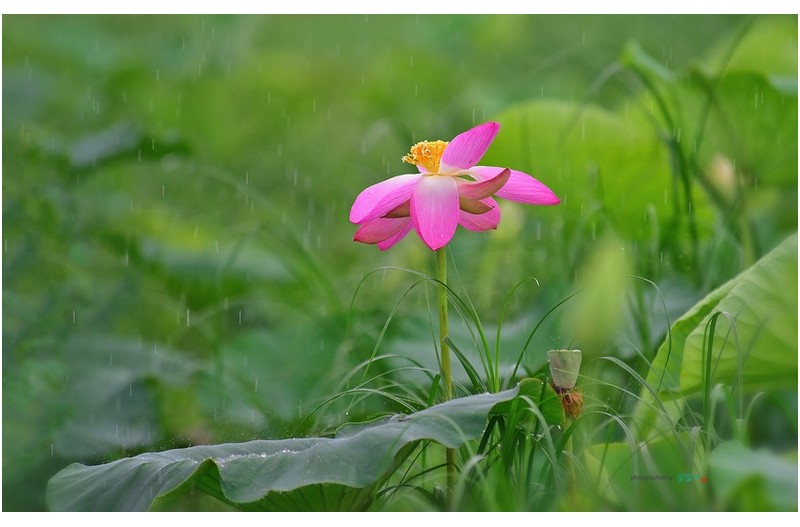 비 오는 날이 좋은 이유...