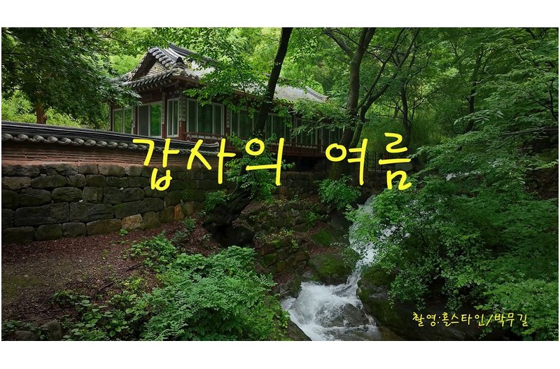 갑사의여름나기
