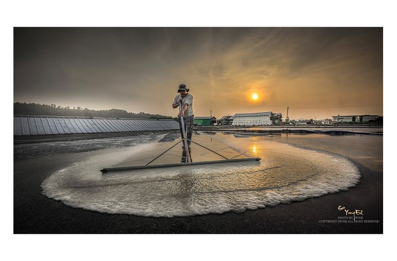 땜볕이 그리운 사람들