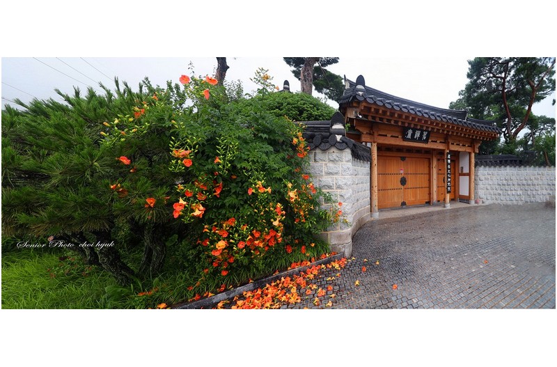 양피지  ㅡㅡㅡㅡㅡㅡㅡㅡㅡㅡㅡㅡㅡㅡㅡ