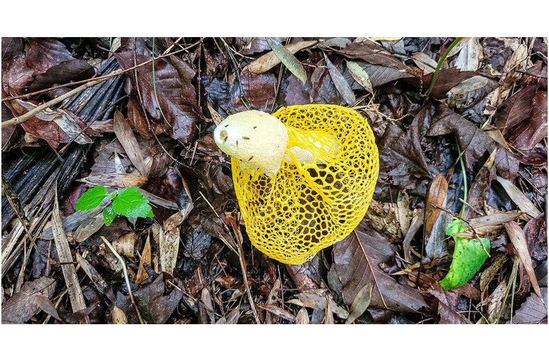 올해 처음 만났네요.