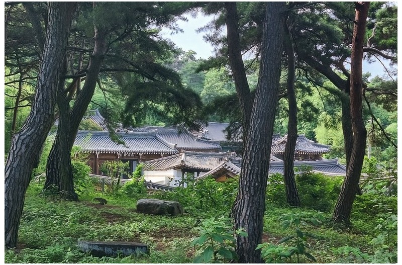 용강서원(龍岡書院)