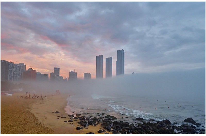 해운대의 아침