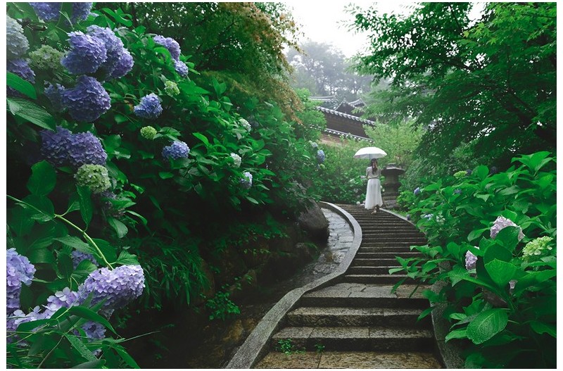 자장암 오르는 길